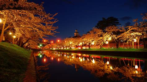 Japan’s Top 100 Blossoms: Tsuruoka Park (Yamagata) | Nippon.com