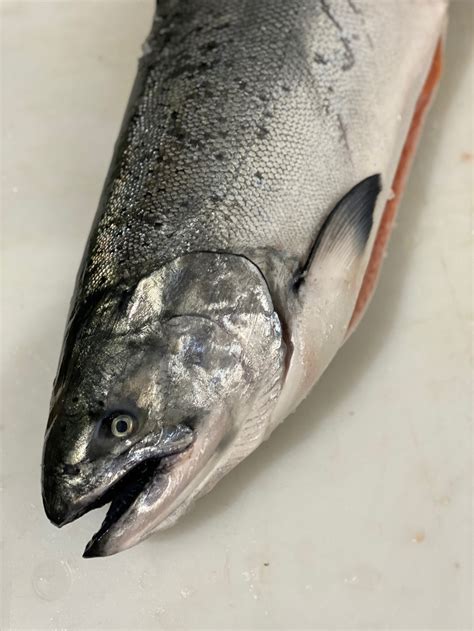 Wild King Salmon Fillet – Local 130 Seafood NJHome Delivery