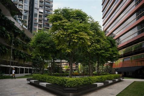 Singapore Green Plan 2030 outlines many existing initiatives, some new ...