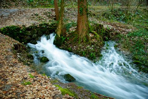 River source | One of the sources of river Ljubljanica. Moči… | Flickr