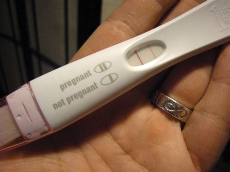 Student Health Services astounded by positive pregnancy test | Student Life