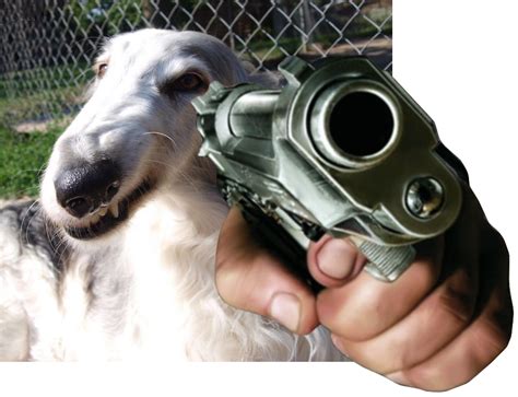 dog holding gun | Hand Pointing a Gun | Know Your Meme