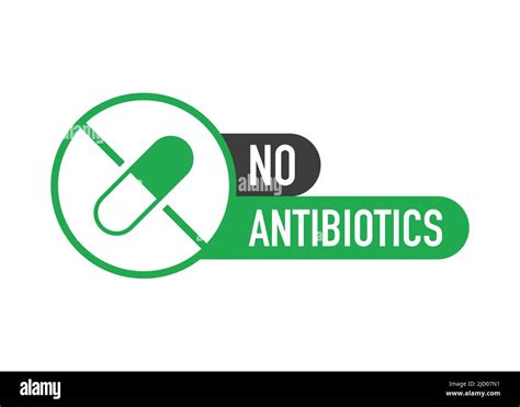 No hormones, no antibiotics green flat banner on white background. Vector illustration Stock ...