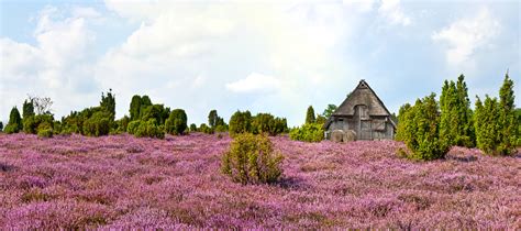 Familienurlaub in der Lüneburger Heide – Reisetipps, Unterkünfte uvm.