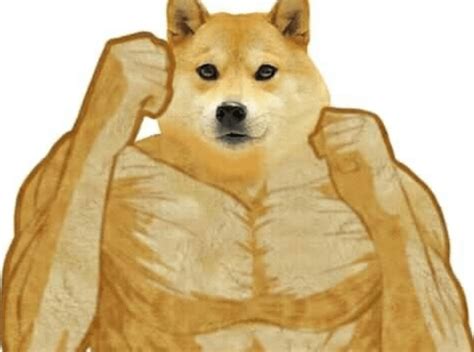 20+ Doge Meme Templates That Help You To Make Hilarious Memes | Memes.co.in