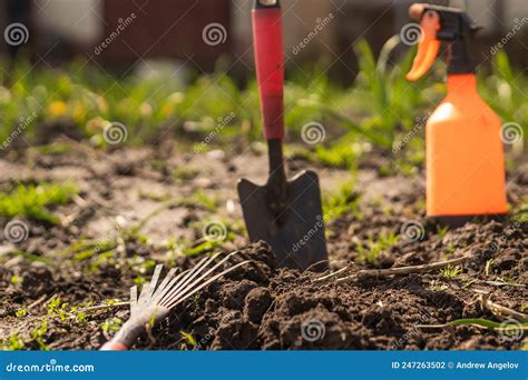 Farmer in the Vegetable Garden, Gardening Tools Stock Photo - Image of ...