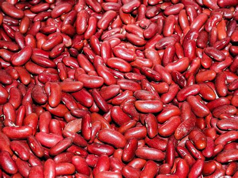 Close Up Red Beans Background Free Stock Photo - Public Domain Pictures