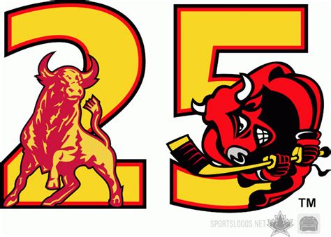 Belleville Bulls Logo - Anniversary Logo - Ontario Hockey League (OHL) - Chris Creamer's Sports ...