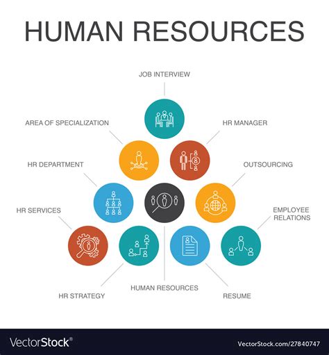 Human resources infographic 10 steps concept job Vector Image