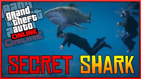 GTA 5 Online Secrets - NEW Secret SHARK Spawn Location in GTA 5 Online ...