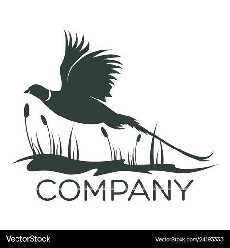 Bird pheasant logo Royalty Free Vector Image - VectorStock