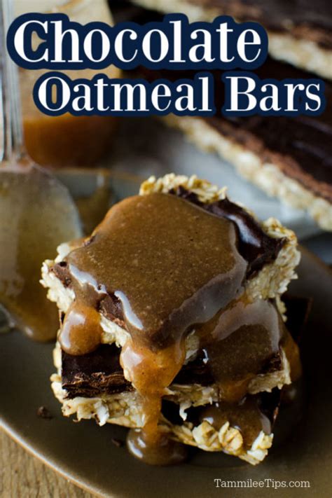 Chocolate Oat Bars Recipe - Tammilee Tips