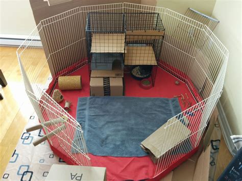 What's the best playpen for indoor buns? : r/Rabbits