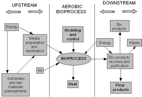 Characteristic flow chart for biotechnology centred on bioprocess 3 . | Download Scientific Diagram