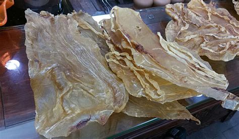 91 Totoaba Swim Bladders Worth $1.4M Smuggled in Fish Fillet Shipment ...