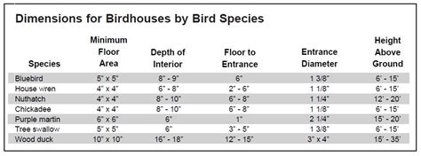 Bird House Dimensions and Other Bird House Tips - Wildlife Management Pro