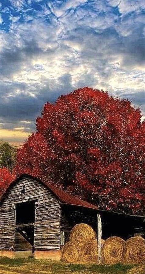 Pin by ALICIA on Autumn | Barn, Farm barn, Old barns