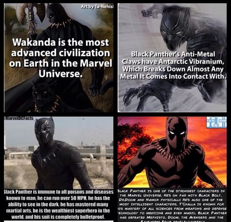 10 Amazing Facts About Black Panther We Bet You Never - vrogue.co