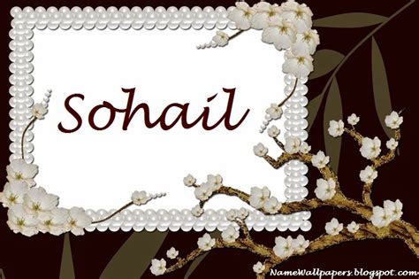 Sohail Name Wallpaper Sohail ~ Name Wallpaper Urdu Name Meaning Name ...