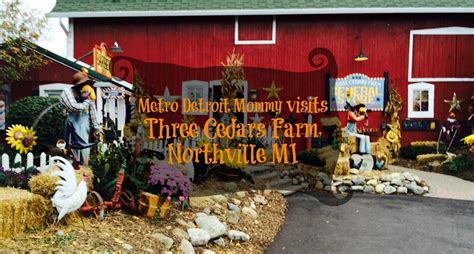 Our adventures at Three Cedars Farm in Northville #pumpkinpatch # ...