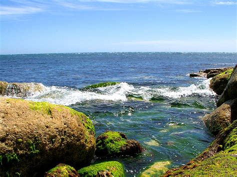 dorset coastline Free Photo Download | FreeImages