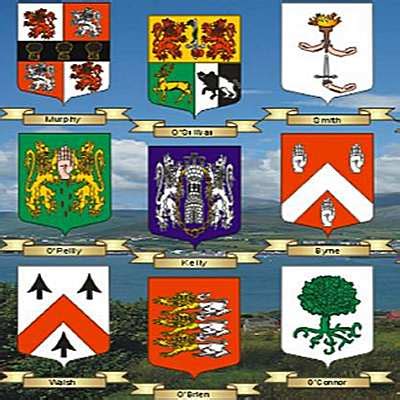 100 Irish surnames explained,Irish Genealogy,Irish coats of arms,How to ...