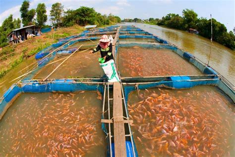 How Does Water Quality Affect Aquaculture? | Sensorex Blog