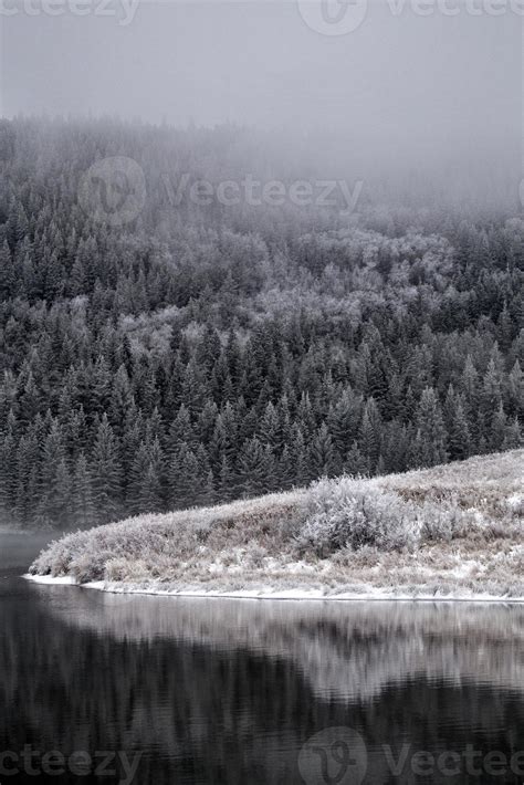 Cypress Hills in Winter 5901750 Stock Photo at Vecteezy