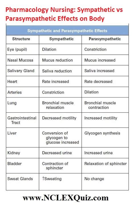 Pharmacology Nursing: Sympathetic vs Parasympathetic Effects on Body ...