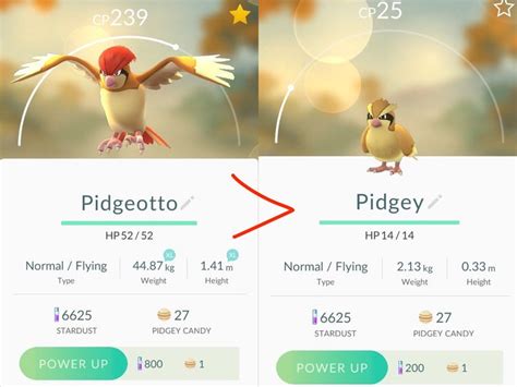 Pokemon Pidgey Evolution Chart