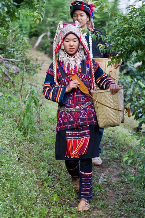 Akha Hill Tribe girl going to harvest coffee beans. | Urmenschen ...