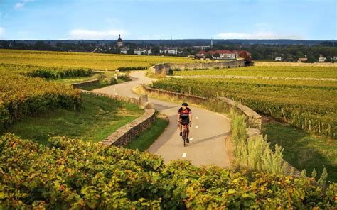 The 8 Best Cycling Routes in France | Butterfield & Robinson