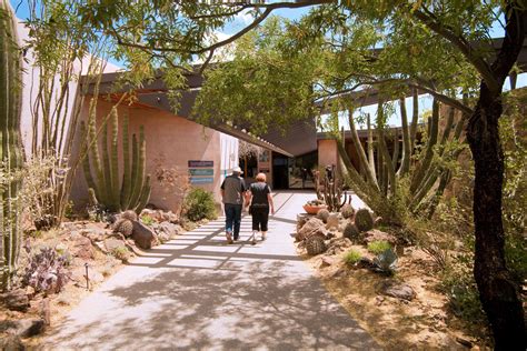 Arizona Sonora Desert Museum Restaurant and Gallery Complex — Line and ...