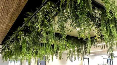 Plant Ceiling | Greenery decor, Fake plants decor, Ceiling hanging