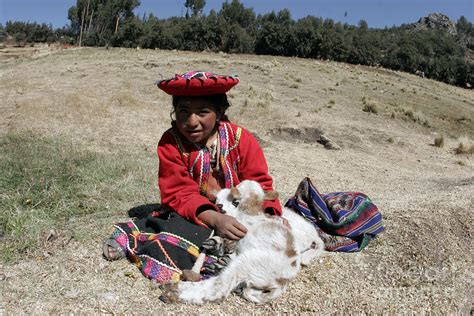 Peruvian child with baby alpacas Photograph by Jason O Watson - Fine ...