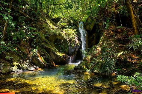 Beautiful waterfall in the Cockscomb Basin Wildlife Sanctuary