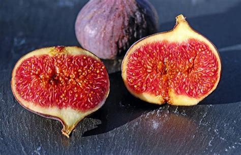 Anjeer Tree (Fig Tree): How to grow & care for Fig Plant?