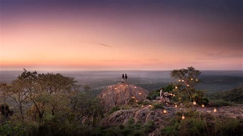 Phinda Private Game Reserve | South Africa | Wild Safari Guide