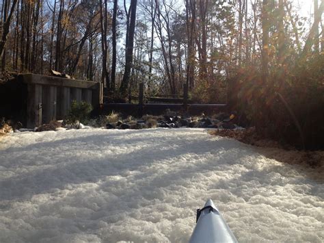 Kayak Virginia: The Great Dismal Swamp, Lake Drummond.