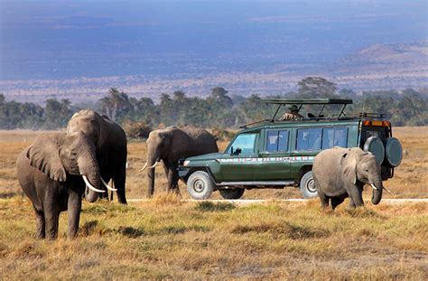 Maasai Mara National Reserve | Kenya Safari Destinations