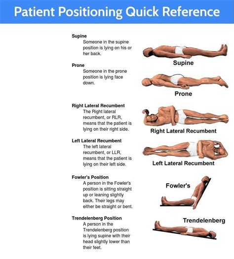 Supine position – Artofit