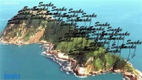 10 Facts About "Snake Island" The Place Of Nightmares - YouTube