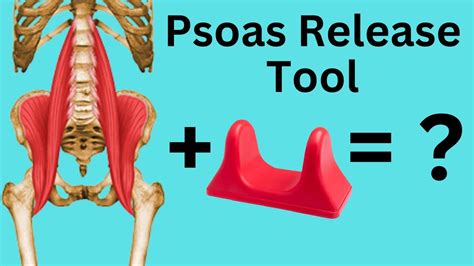 Psoas Release Tool + Stretches For Psoas Muscle = Relieve Back & Hip ...