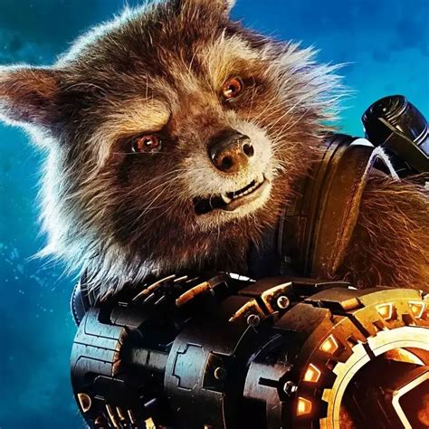 Guardians Of The Galaxy 2022 Rocket Raccoon