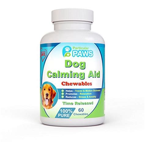 Top 15 Best Dog Anxiety Medications for Calming Dogs in 2019