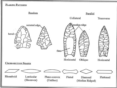 Projectile Point Flaking Patterns and Cross-Section Shapes from ...