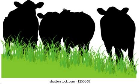 Cows Field Silhouette Stock Vector (Royalty Free) 1255568 | Shutterstock