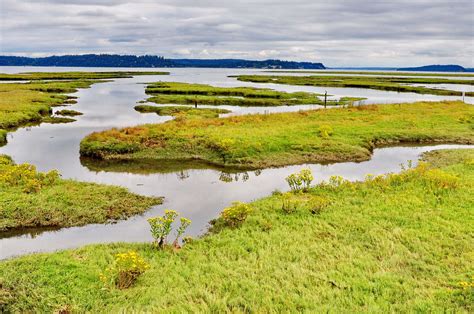 Why Estuaries Are Important