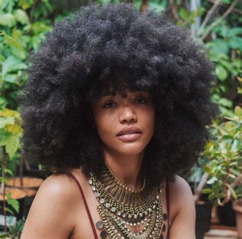 20 Natural Hair Afro Style Ideas For 2020 (Updated) | ThriveNaija