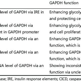 (PDF) Critical protein GAPDH and its regulatory mechanisms in cancer cells